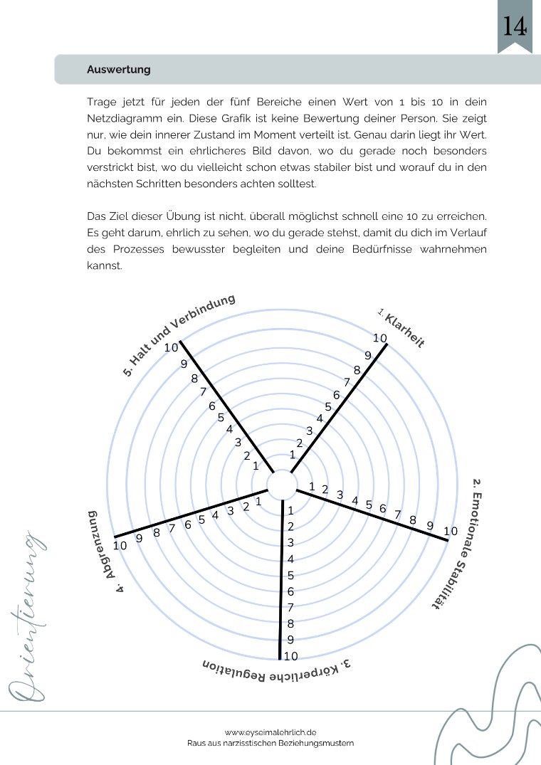 Leseprobe: Auswertung: Netzdiagramm